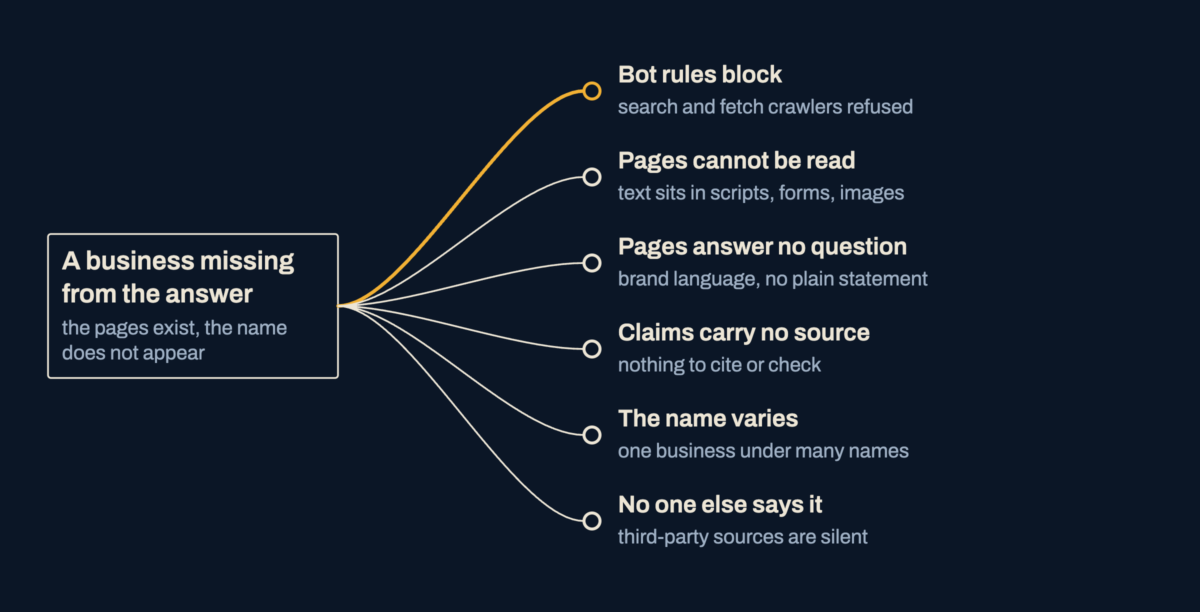 A business missing from an answer branches into six reasons: bot rules block, pages cannot be read, pages answer no question, claims carry no source, the name varies, and no one else says it.