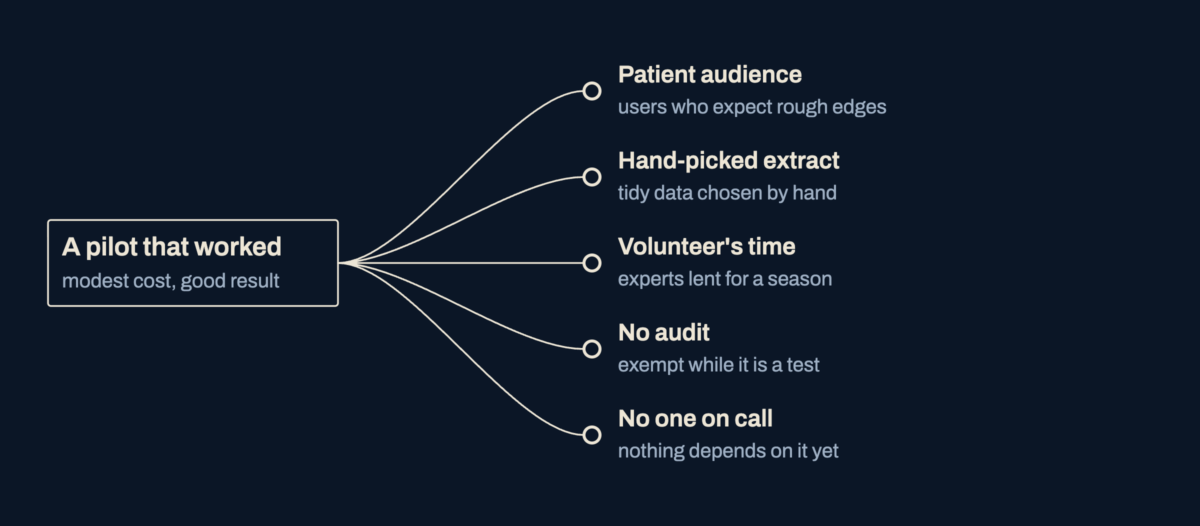 A split diagram: a pilot that worked divides into its free things: a patient audience, a hand-picked extract, a volunteer's time, no audit and no one on call.